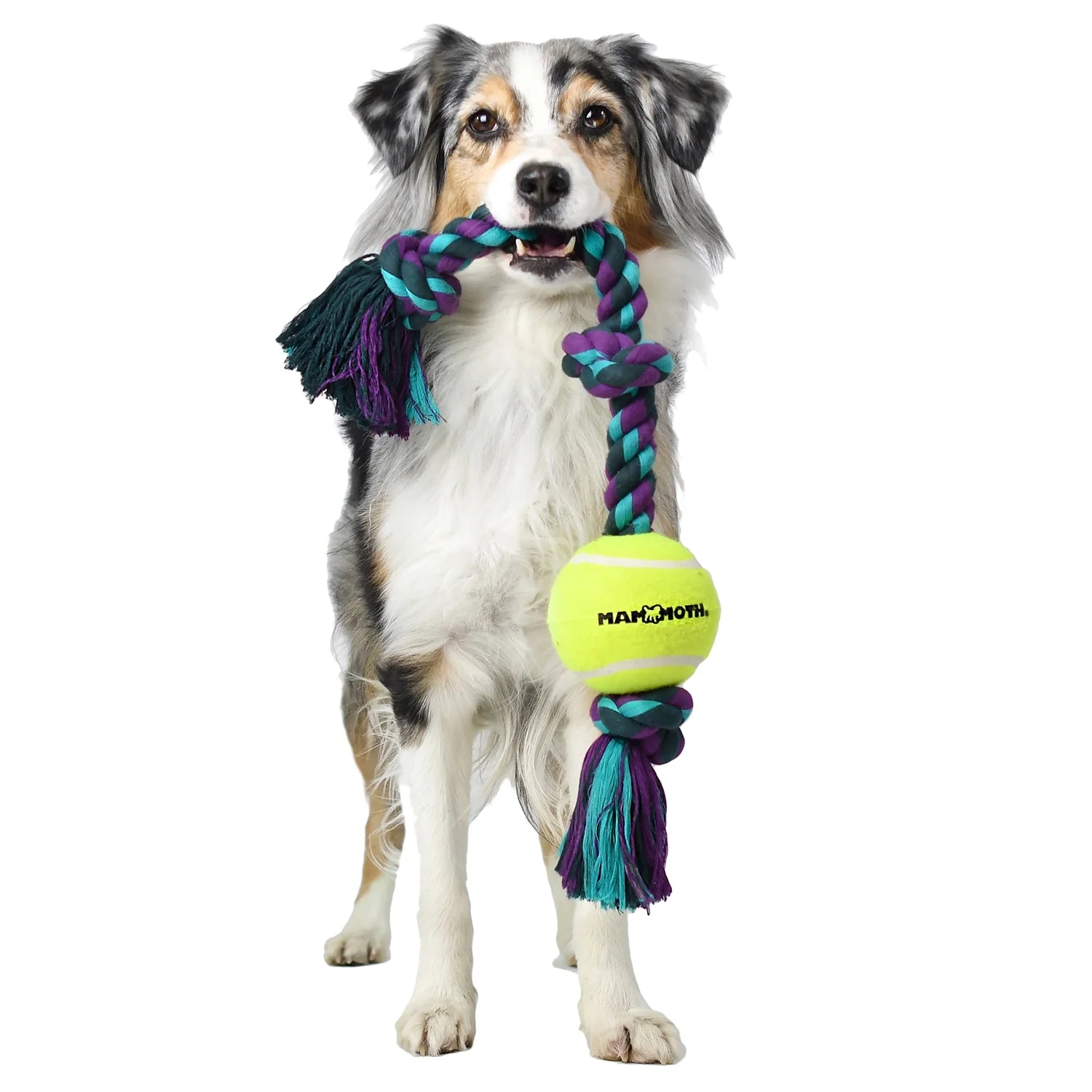 Flossy Chews Extra Large 36 Inch 5 Knot Cottonblend Tug Rope Dog Toy, Durable Rope Chew Toy for Large Dogs over 80 Lbs, Assorted Colors